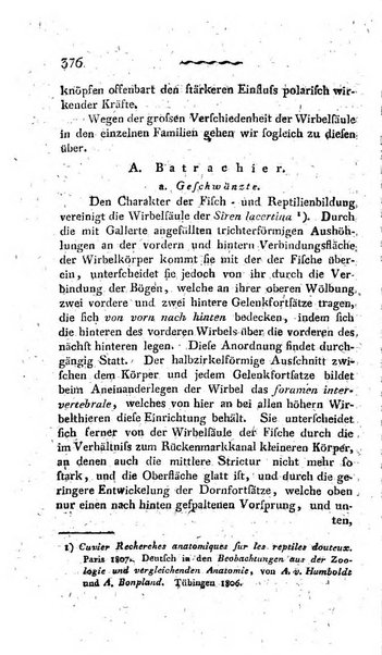 Deutsches Archiv fur die Physiologie