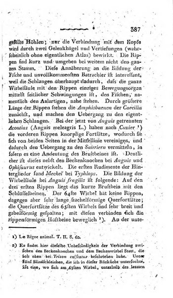 Deutsches Archiv fur die Physiologie