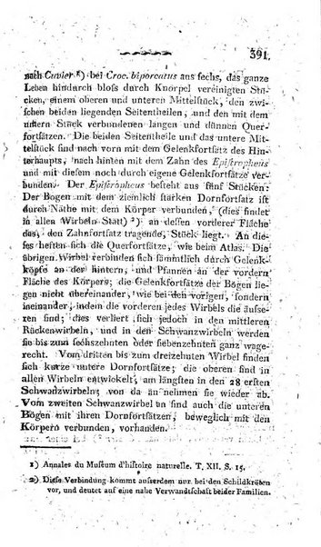 Deutsches Archiv fur die Physiologie