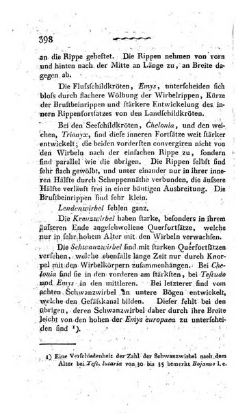 Deutsches Archiv fur die Physiologie