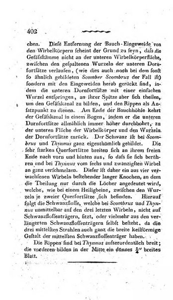 Deutsches Archiv fur die Physiologie