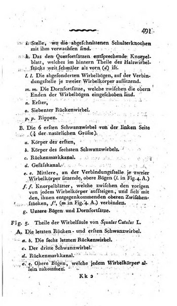 Deutsches Archiv fur die Physiologie