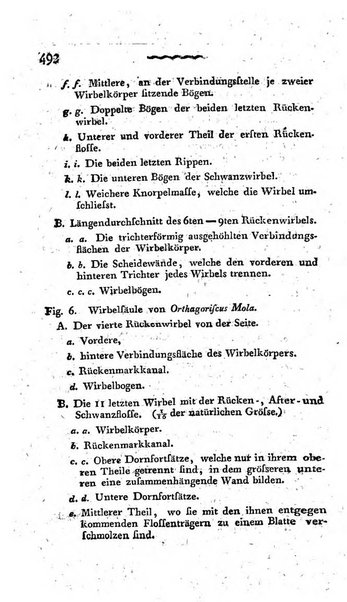 Deutsches Archiv fur die Physiologie