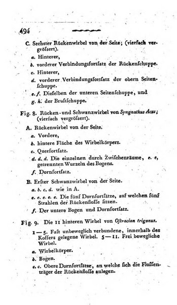 Deutsches Archiv fur die Physiologie