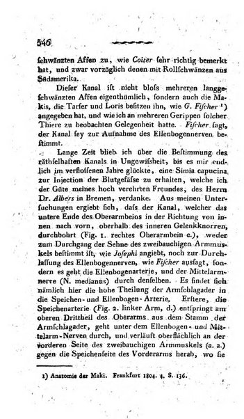 Deutsches Archiv fur die Physiologie