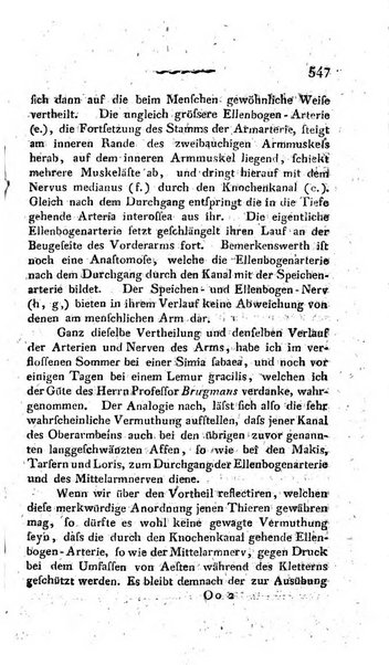 Deutsches Archiv fur die Physiologie