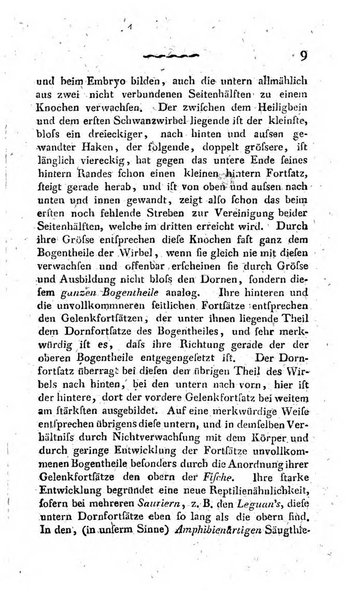 Deutsches Archiv fur die Physiologie