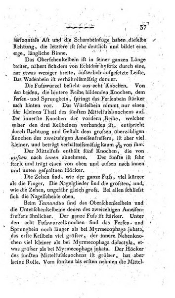 Deutsches Archiv fur die Physiologie