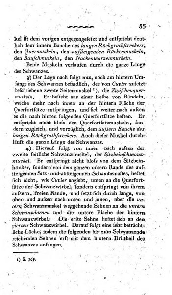 Deutsches Archiv fur die Physiologie