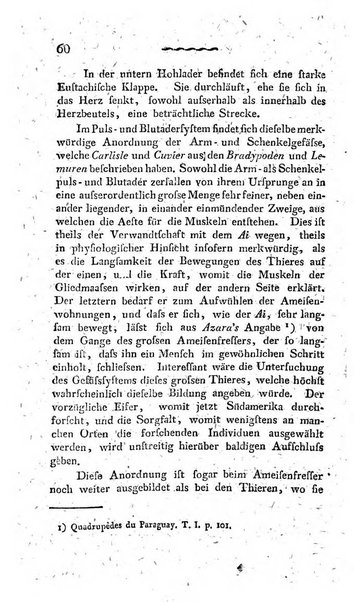 Deutsches Archiv fur die Physiologie