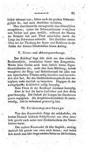 Deutsches Archiv fur die Physiologie