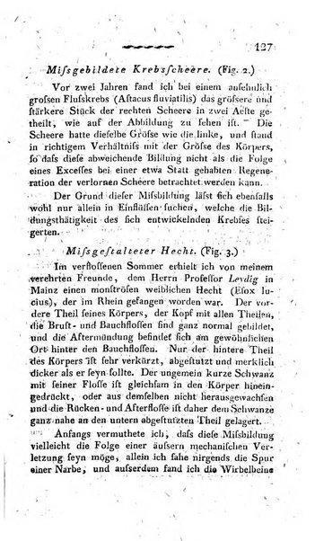 Deutsches Archiv fur die Physiologie