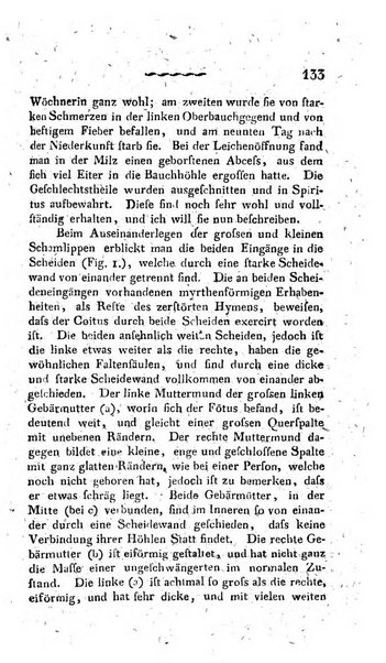 Deutsches Archiv fur die Physiologie