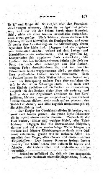 Deutsches Archiv fur die Physiologie