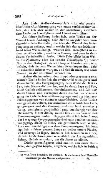 Deutsches Archiv fur die Physiologie