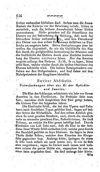 Deutsches Archiv fur die Physiologie