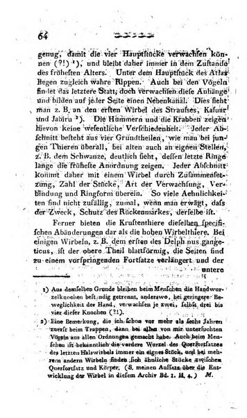 Deutsches Archiv fur die Physiologie