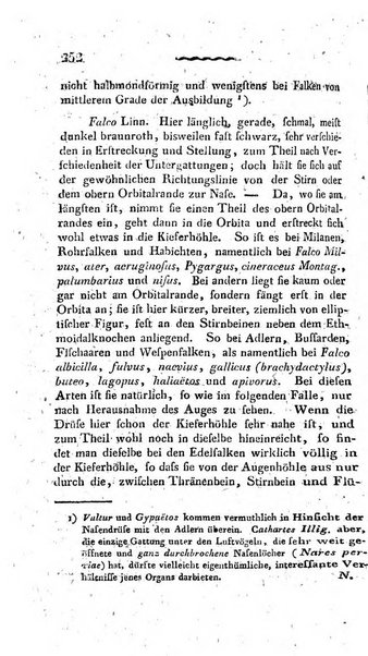 Deutsches Archiv fur die Physiologie