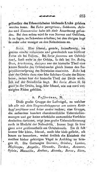 Deutsches Archiv fur die Physiologie