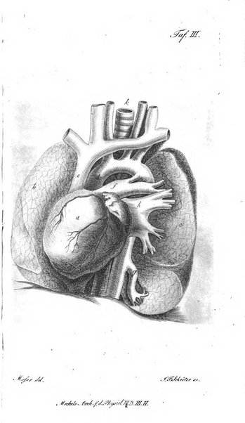 Deutsches Archiv fur die Physiologie