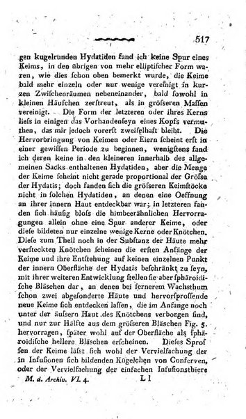 Deutsches Archiv fur die Physiologie