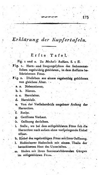 Deutsches Archiv fur die Physiologie