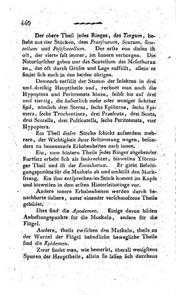 Deutsches Archiv fur die Physiologie