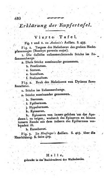 Deutsches Archiv fur die Physiologie