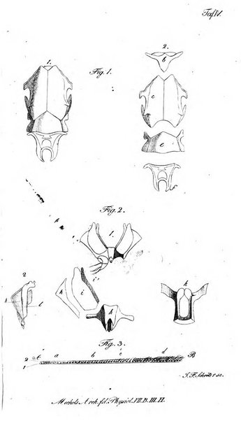 Deutsches Archiv fur die Physiologie