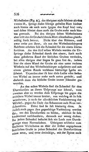 Deutsches Archiv fur die Physiologie