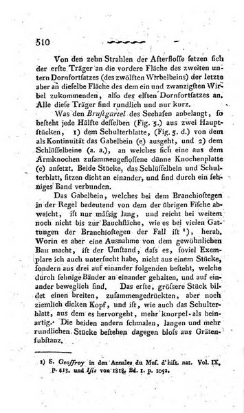 Deutsches Archiv fur die Physiologie