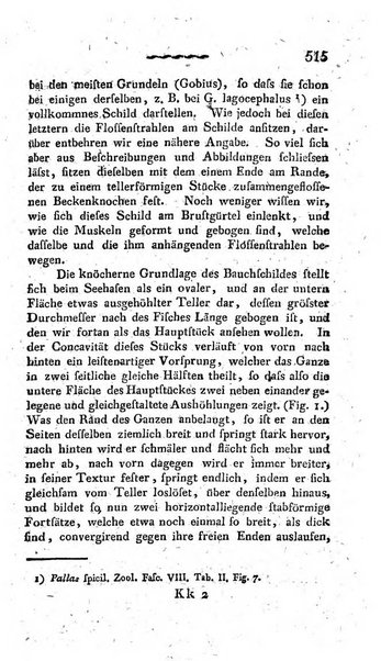 Deutsches Archiv fur die Physiologie