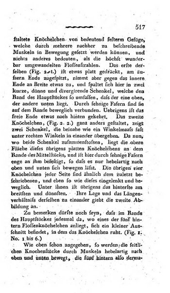 Deutsches Archiv fur die Physiologie