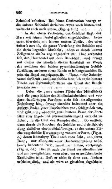 Deutsches Archiv fur die Physiologie