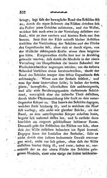 Deutsches Archiv fur die Physiologie