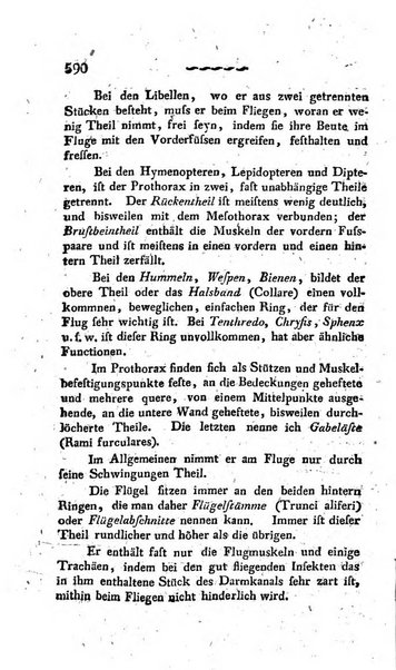 Deutsches Archiv fur die Physiologie