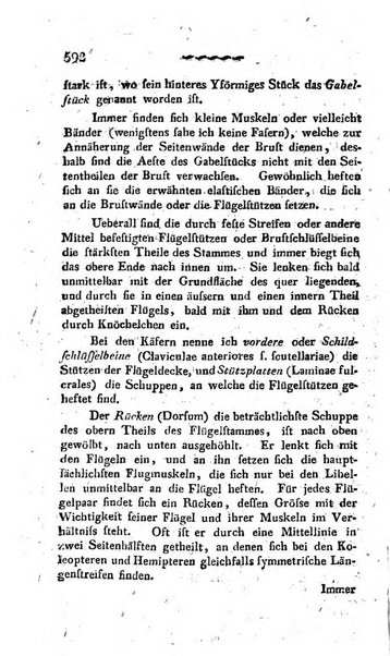 Deutsches Archiv fur die Physiologie