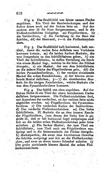 Deutsches Archiv fur die Physiologie