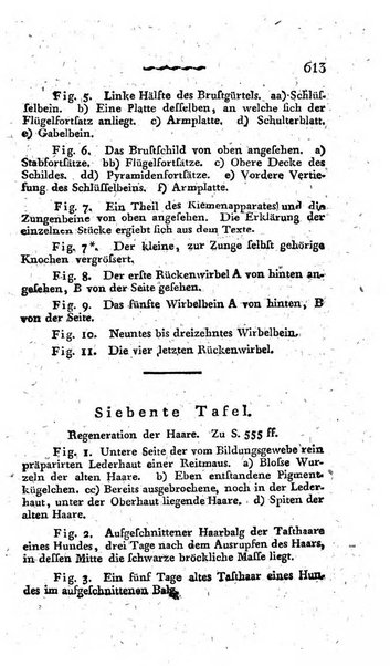 Deutsches Archiv fur die Physiologie