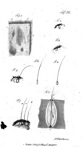 Deutsches Archiv fur die Physiologie