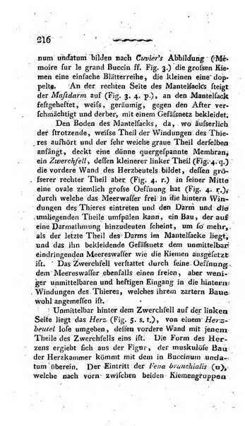 Deutsches Archiv fur die Physiologie