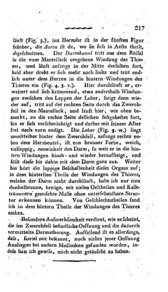 Deutsches Archiv fur die Physiologie