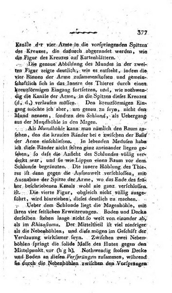 Deutsches Archiv fur die Physiologie