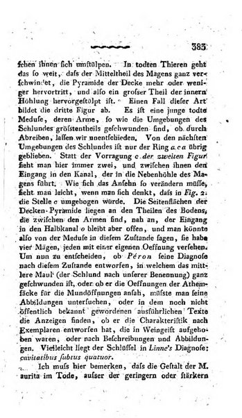 Deutsches Archiv fur die Physiologie