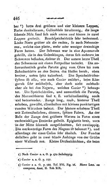 Deutsches Archiv fur die Physiologie