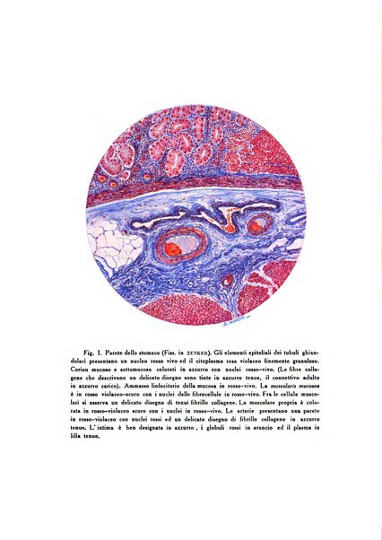 Diagnostica e tecnica di laboratorio rivista mensile