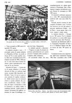 giornale/TO00183200/1933/v.1/00000158