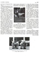 giornale/TO00183200/1933/v.1/00000185
