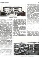 giornale/TO00183200/1933/v.1/00000187