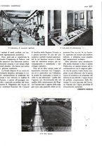 giornale/TO00183200/1933/v.1/00000215